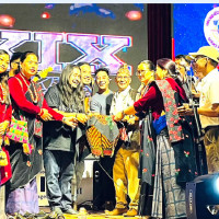 बढ्दै मिर्गौला बिरामी