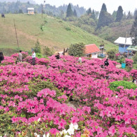 एआई र खोजमूलक पत्रकारिता अपरिहार्य : अध्यक्ष मगर