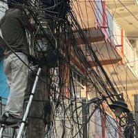 बढ्दै मिर्गौला बिरामी