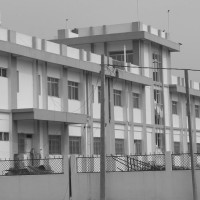 बढ्दै मिर्गौला बिरामी