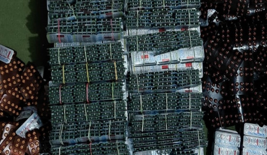 बढ्दै मिर्गौला बिरामी