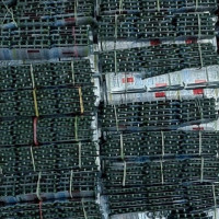 सप्तरीमा नेपाली सेनाद्वारा गस्ती