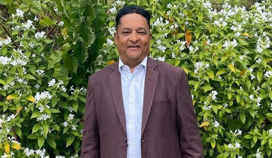 पर्सामा कार चालकसहित एक सय ६० किलोग्राम गाँजा बरामद