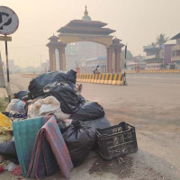 बढ्दै मिर्गौला बिरामी