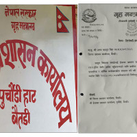 बढ्दै मिर्गौला बिरामी