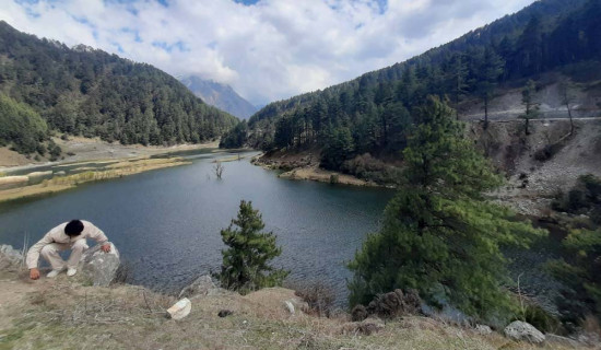 बढ्दै मिर्गौला बिरामी