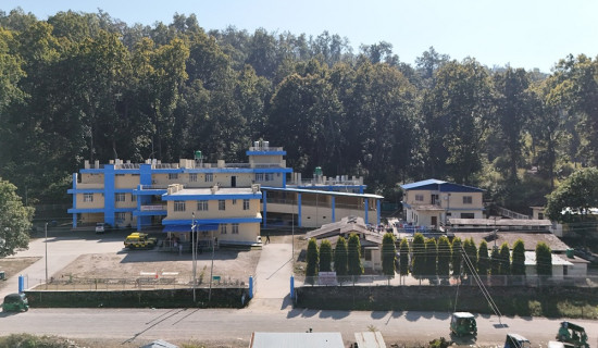 काठमाडौँ उपत्यकामा डेङ्गुको प्रकोप