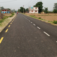 गोरखामा सिङ्गुसले चिलेर १० जना घाइते