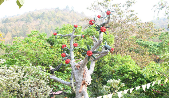 सुनचाँदीको मोल निरन्तर बढ्दो