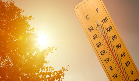 तराईमा तातो दिन, अन्यत्र बादल