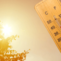 सत्य र न्याय बुझेर मात्र मतदान गर्नुहोला