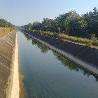 मनमोहन अविचलित निष्ठाका प्रतीक