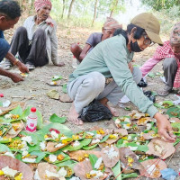 घोराहीमा ४१ जनामा सिकलसेल एनिमिया पोजेटिभ
