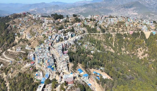 घोराहीमा ४१ जनामा सिकलसेल एनिमिया पोजेटिभ