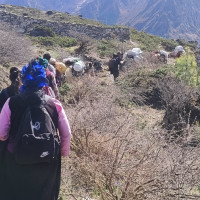 प्लाष्टिकको बोरामा महिलाको शव भेटियो