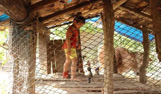 १२ वर्षपछि दीक्षान्त समारोह आयोजना गर्दै नेपाल संस्कृत विश्वविद्यालय