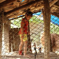 सत्ताइस जना जनजाति निर्वाचित