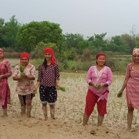 लोकतान्त्रिक परिपाटीको सुदृढीकरणमा अध्यक्ष ओलीको जोड