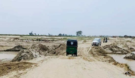 खानामा प्रिजर्भेटिभ्स कत्तिको सुरक्षित