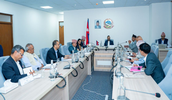 संविधान संशोधनबारे विज्ञसँग छलफल