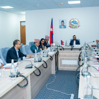 विशेष महाधिवेशनको मिति तोक्न माग