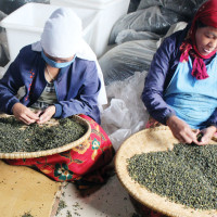 साना हिमतालले बढाउँदै जोखिम