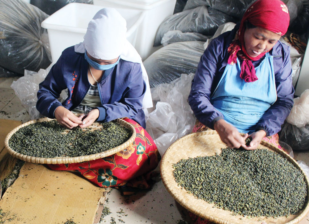 चियाको आयातनिर्यात दुवै बढ्यो