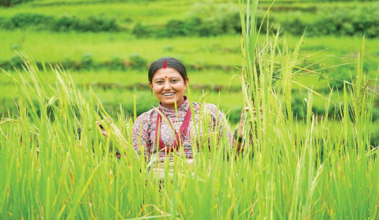 परालको आगो र सिर्जनाको रङ्गयात्रा