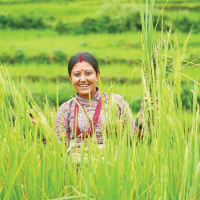 सुकुम्वासीसँगै पशुपन्छीको उद्धार