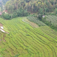 राष्ट्रिय बालअधिकार आयोग स्थापनाको माग