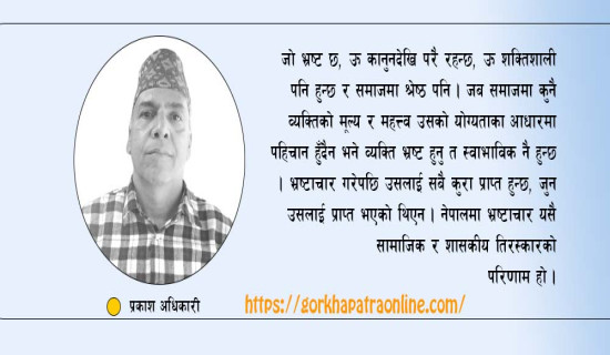 क्रिकेट मैदान नभत्किने