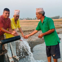 यस्तो छ आजका लागि तय भएको विदेशी मुद्राको विनिमयदर