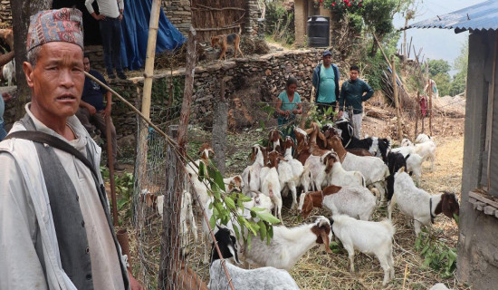 यस्तो छ आजका लागि तय भएको विदेशी मुद्राको विनिमयदर