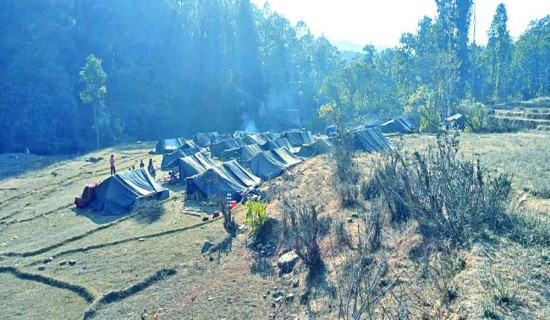 बनेन राउटे संरक्षण नीति