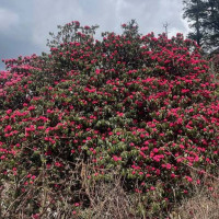 अर्थतन्त्रले खोजेको सम्बोधन