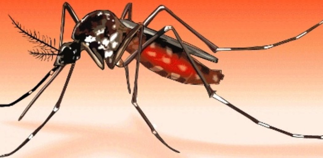 खुला आवागमनले औलोको जोखिम