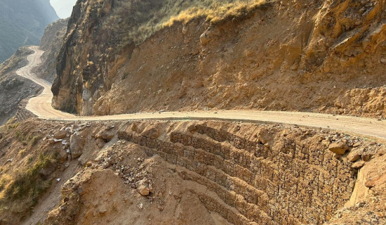 लसुनको मूल्य घट्दा किसान मारमा