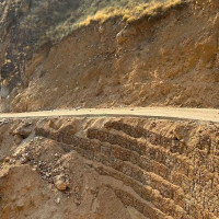 दुई फर्मलाई जरिवाना