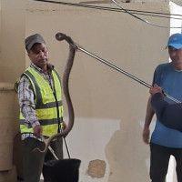 बाख्रापालनबाट स्वरोजगार