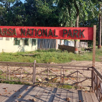 काठमाडौँका विभिन्न ठाउँमा सिक्री लुट्दै हिँड्ने गिरोह पक्राउ