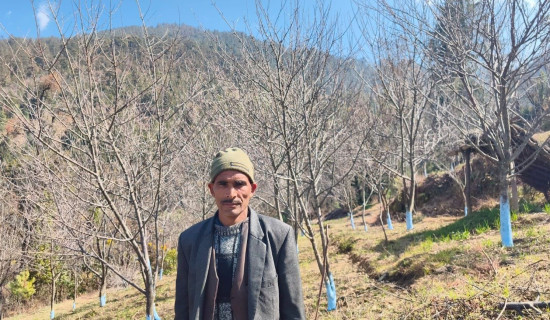 एआईको प्रयोग अनिवार्य