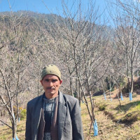 एक वर्षमा बन्नुपर्ने पुल पाँच वर्षसम्म अधुरै