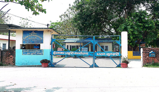 अनलाइन जुवा खेल्ने १० जना पक्राउ