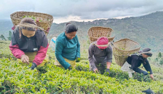 युद्धविरामको बावजुद लेबनानमा इजरायली आक्रमण जारी