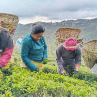 पहुँचका भरमा प्रयोग भएका ६२२ सवारी साधन फिर्ता