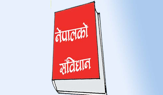 संविधानविद्सँग कार्यदलले लियो सुझाव