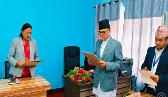 सर्पदंशबाट तीन वर्षमा एक हजार नौ सयभन्दा बढी प्रभावित