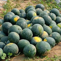 अन्त्येनारायणस्मृतिमा समसामयिकता