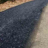 सांसदको विशेषाधिकार रक्षा