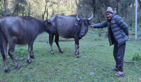 सांसदको विशेषाधिकार रक्षा
